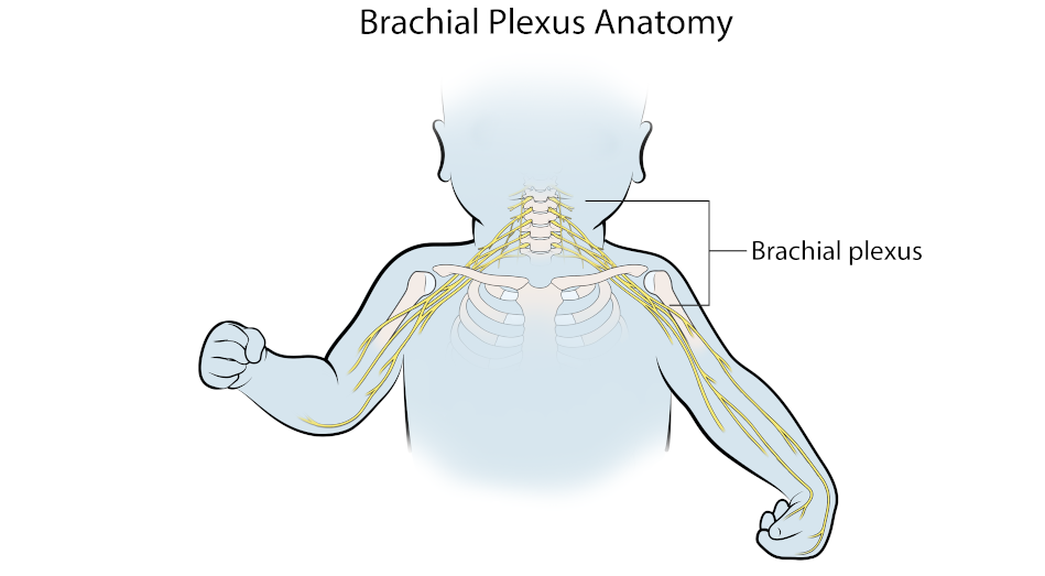 Filing A Brachial Plexus Birth Injury Lawsuit: 7 Ultimate Steps 